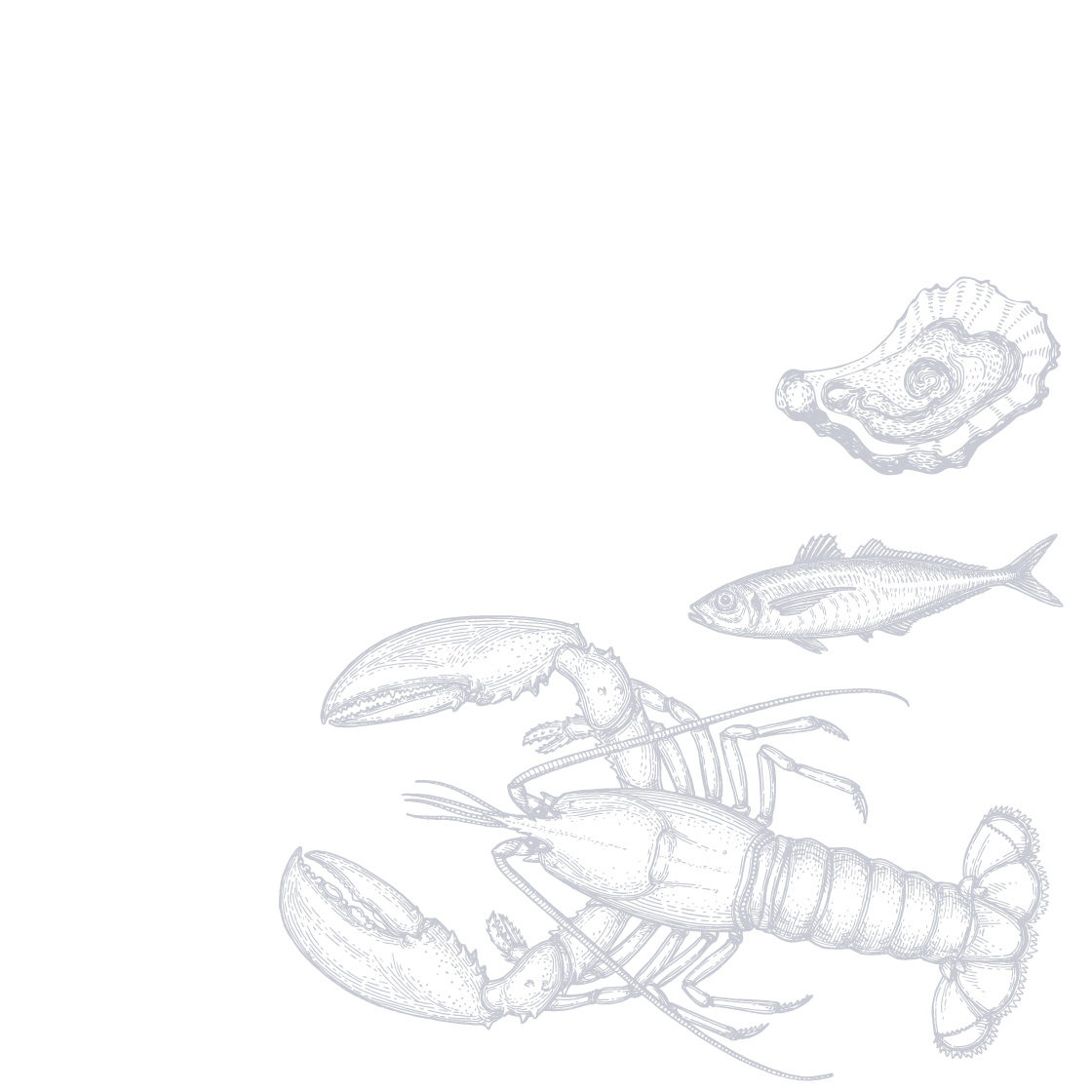 Illustration of fish/seafood