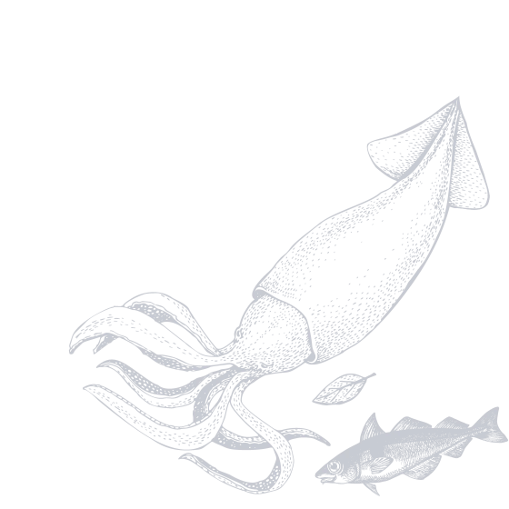 Illustration of fish/seafood