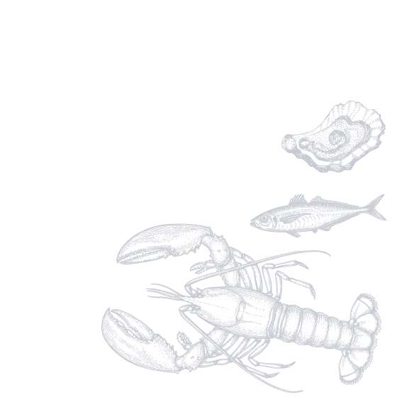 Illustration of fish/seafood