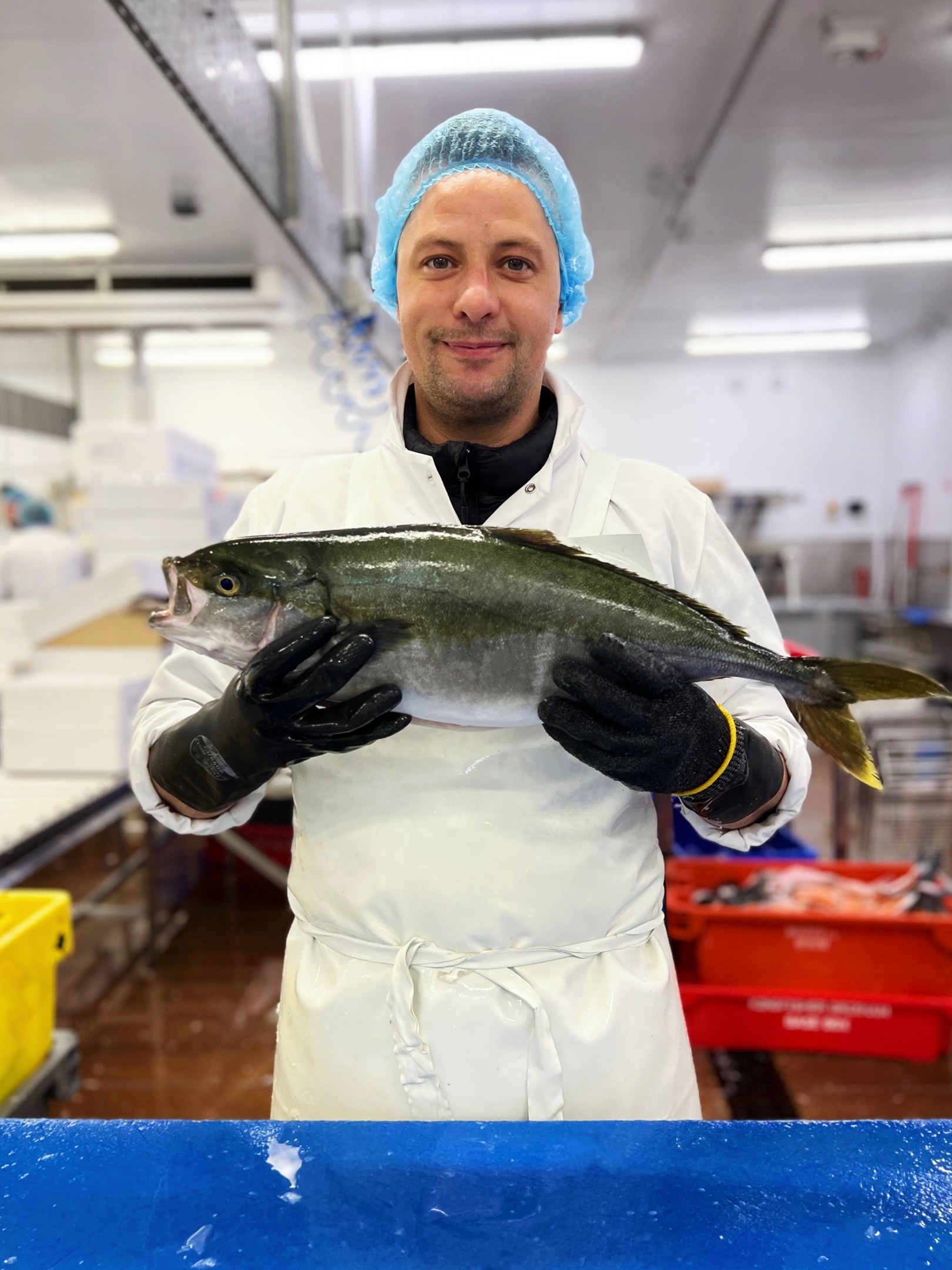 Join Our Team Kingfisher Brixham Kingfisher Brixham