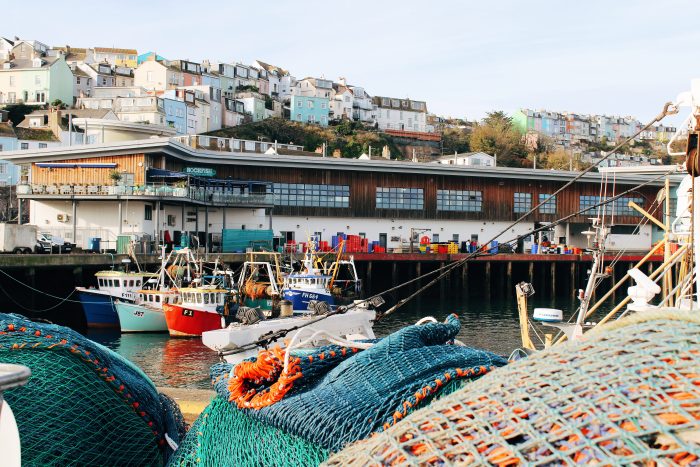 Kingfisher Brixham