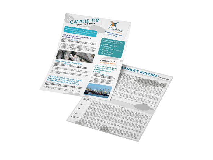 Kingfisher Brixham Market Report