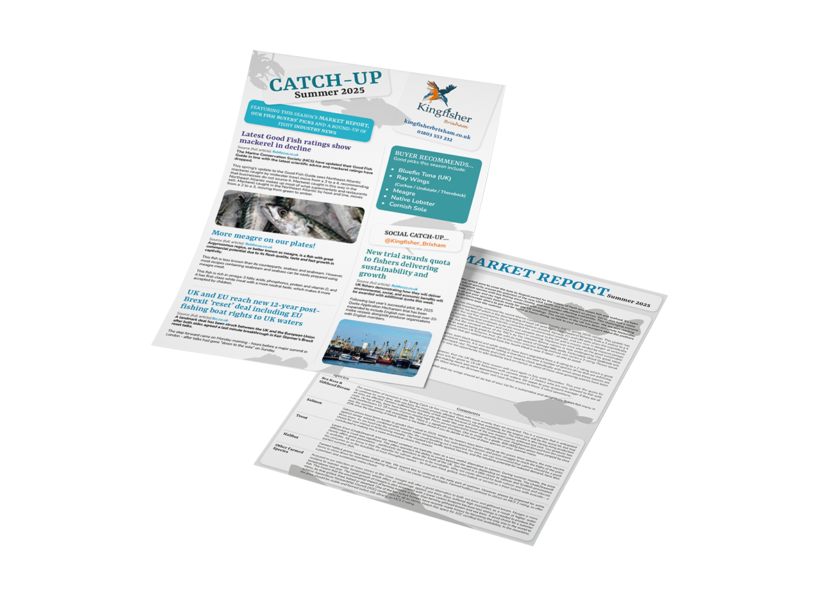 Kingfisher Brixham Market Report